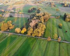 Пай, город, українці, допомога. Фото: Telegram