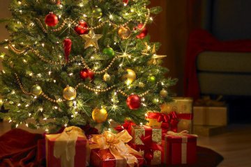 Штрафы за незаконную вырубку ёлок, как всегда, высоки