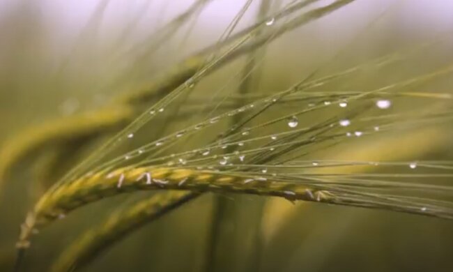 Погода на 15 июня 2020 года