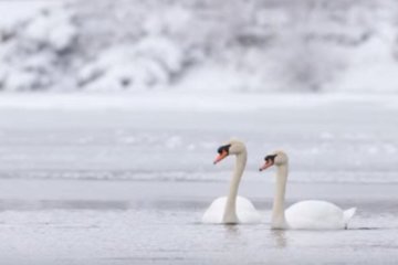 Погода на 14 февраля 2020 года