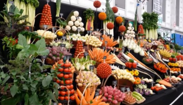 Овощи. Фото: скриншот YouTube