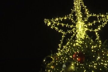 Копы вместо гостей на Рождество. Фото: скриншот Youtube