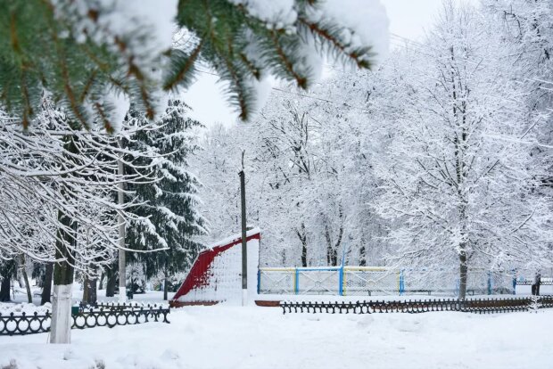 Погода, зима, сніг. Фото: Стіна