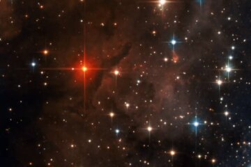 Гороскоп для всех знаков зодиака. Фото: скриншот YouTube-видео