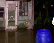 Все ушло под воду: стихия в Одесской области нанесла большой ущерб, видео