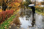 Прохладно и влажно: синоптики рассказали о погоде на 9 октября. Фото: из открытых источников