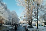 Зимовий етюд. Фото: Ukrainianwall
