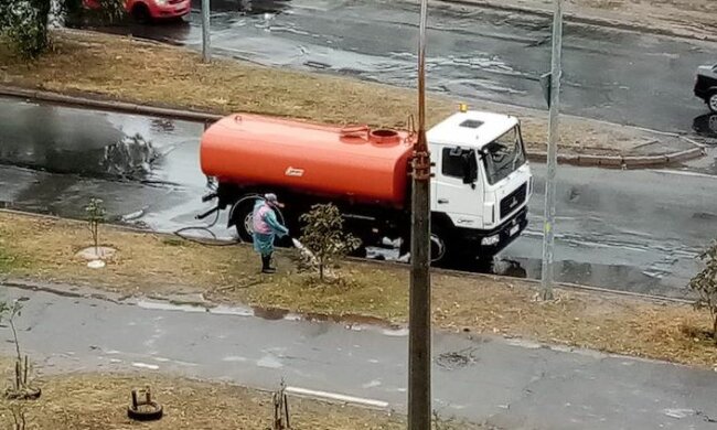 В Киеве поливают деревья во время дождя: в соцсетях ищут логику