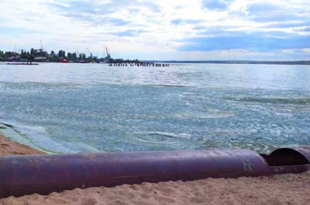 В Николаеве "позеленела" вода на пляже. Фото: Facebook/Contact Center при Николаевском горсовете