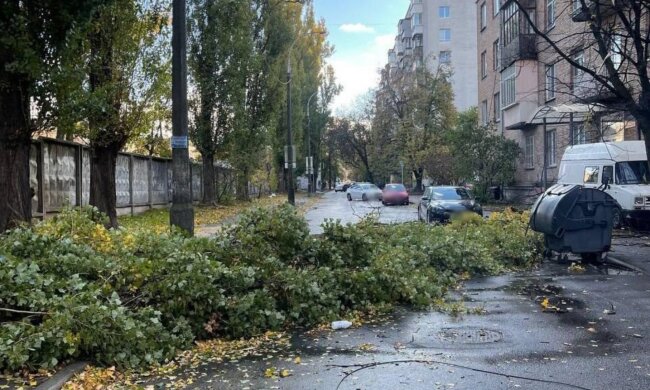 Дика стихія накрила Київ: валить дерева та зносить дахи - фото і відео