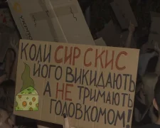 Голоса площади. Картонки — онлайн архив протестных плакатов