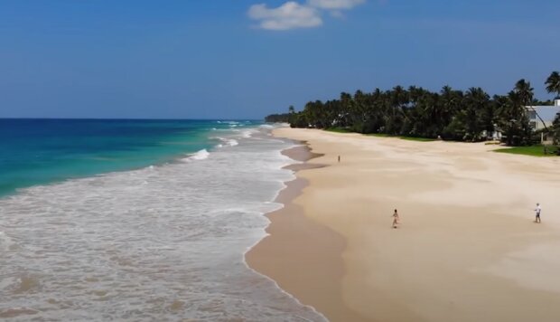 Шри-Ланка. Фото: YouTube, скрин