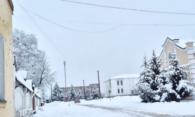 Зима, морози, погода. Фото: Стіна