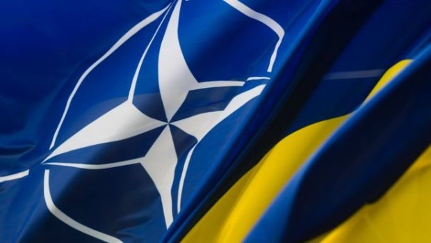НАТО сделал стратегическую ошибку в отношении Украины еще 11 лет назад