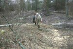 В Госэкоинспекции рассказали, сколько экологических нарушений выявили за прошедшую неделю