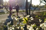 Весна медленно врывается в Киев: прогноз погоды на 24 апреля