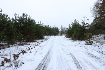 Далеко не прячьте теплые шапки: морозы вернутся в Украину через пару дней, где будет холоднее всего