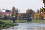 Природа. Фото: скриншот YouTube-видео