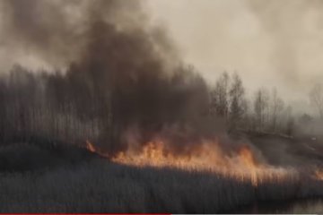 Пожар в Чернобыле. Фото: скриншот YouTube.