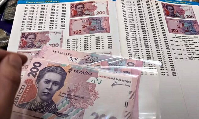 Гривны. Фото: скриншот Youtube-видео