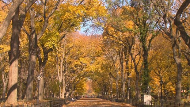 Аномальний листопад: синоптик попередив, як різко зміниться погода в Україні