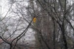 Погода в Украине. Фото: YouTube, скрин