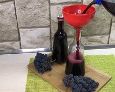 Домашнее вино из винограда. Фото: YouTube