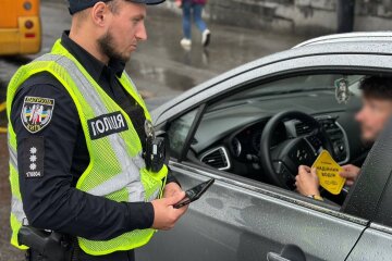 В МВД предупредили всех водителей о проверке документов - от прав до техосмотра