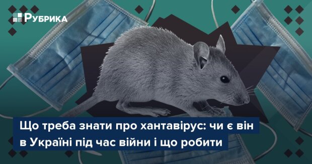 Хантавірус — вірус, що переноситься гризунами