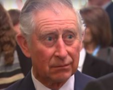 Принц Чарльз. Фото:  BBC News