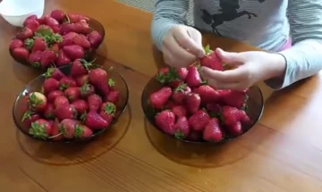 Клубника. Фото: скриншот YouTube-видео
