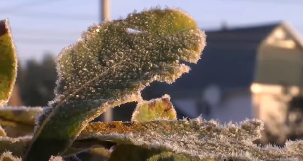 В ближайшие дни Украину накроют сильные заморозки. Фото: скриншот Youtube