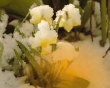 Від -1 до +13: синоптики попередили про погоду на завтра, до чого готуватись