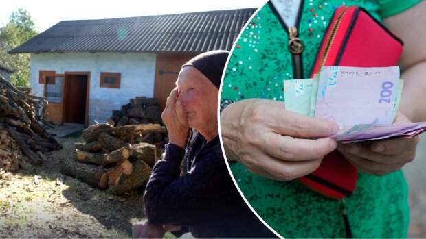Дрова для опалення, грошова компенсація до 21 000 грн, державна допомога 2026