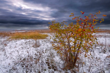 Снегопад и мороз -20: синоптик Диденко дала прогноз погоды на вторник