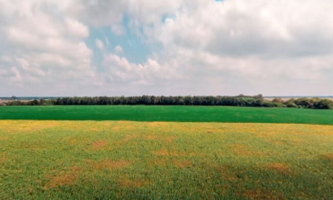 Земли Украины. Фото: скриншот YouTube-видео.