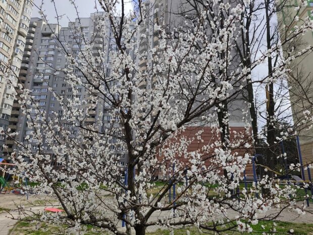 От -3 до +17: погода ежеминутно - синоптики дали прогноз на 19 апреля