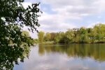 Природа. Фото: скриншот YouTube-видео