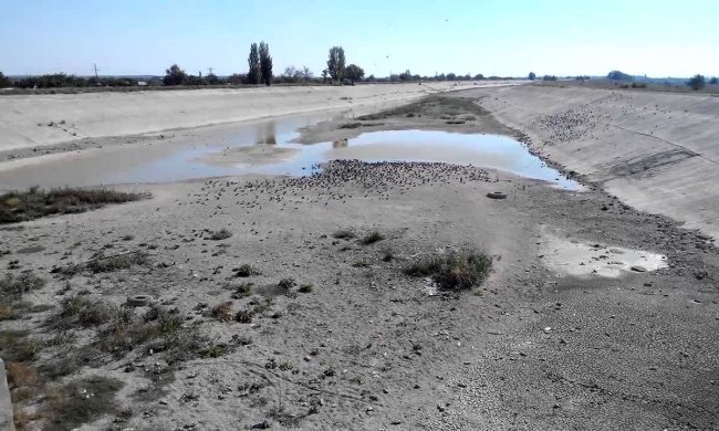 В Крым может вернуться вода из Украины: названо условие