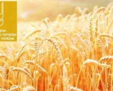 Інвестиційний банкір Олександр Мужель може очолити Державну продовольчо-зернову корпорацію України