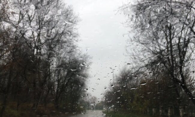 Дождливая погода. Фото: скриншот YouTube-видео