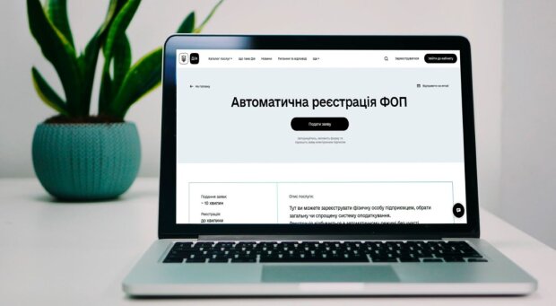 ФОП, документи, оновлення. Фото: ілюстративне