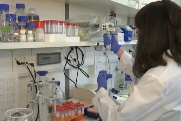 Статистика коронавируса. Фото: скриншот СТЕНА