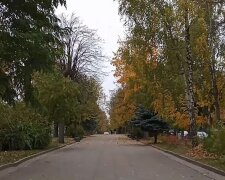 Парк восени. Фото: скріншот YouTube-відео