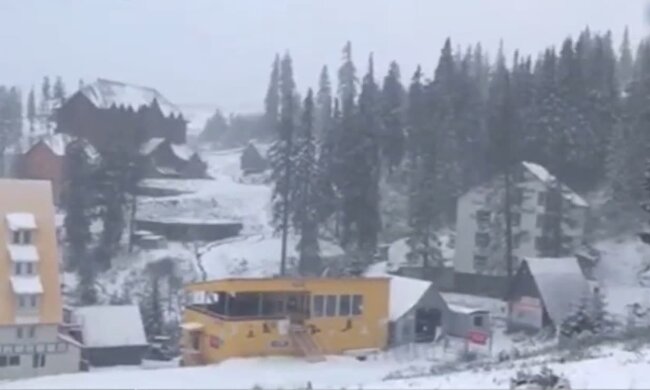 Заснеженные Карпаты. Фото: скриншот Youtube-видео