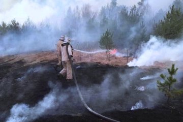 Пожар в Чернобыльской зоне. Фото: Корреспондент.net