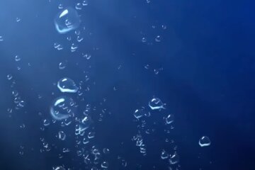 Подводный мир. Фото: скриншот YouTube