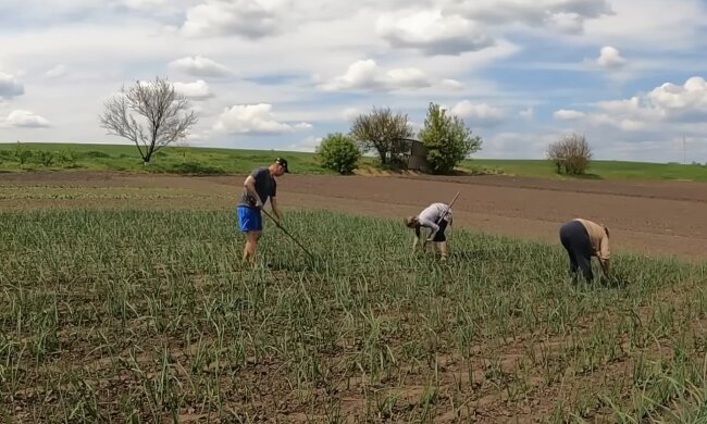 Мешканці села. Фото: скріншот YouTube-відео