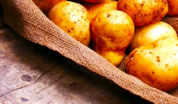Картофель. Фото: YouTube