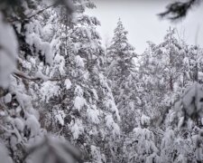 Погода в Украине. Фото: скриншот Youtube-видео